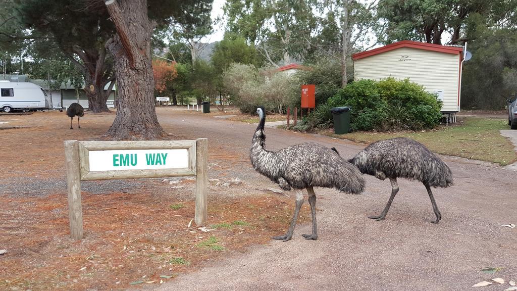 הלס גאפ Breeze Holiday Parks - Grampians מראה חיצוני תמונה